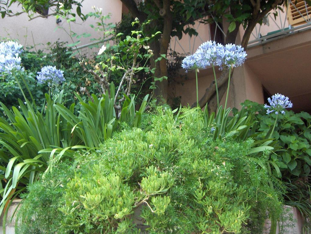 Guest House Roza Vrboska Cameră foto