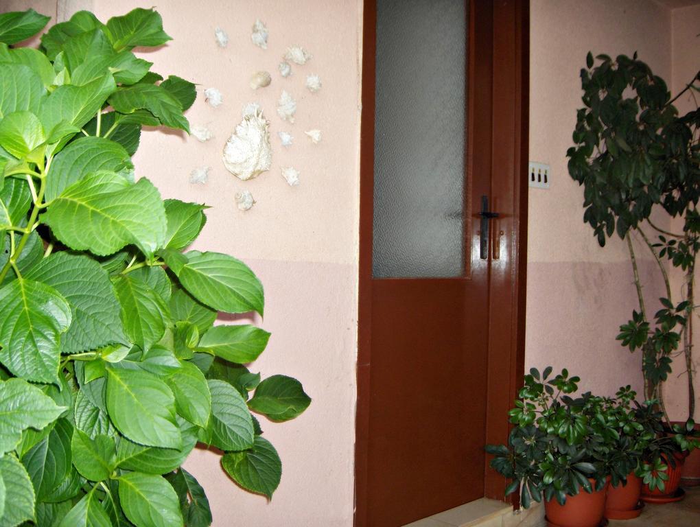 Guest House Roza Vrboska Cameră foto