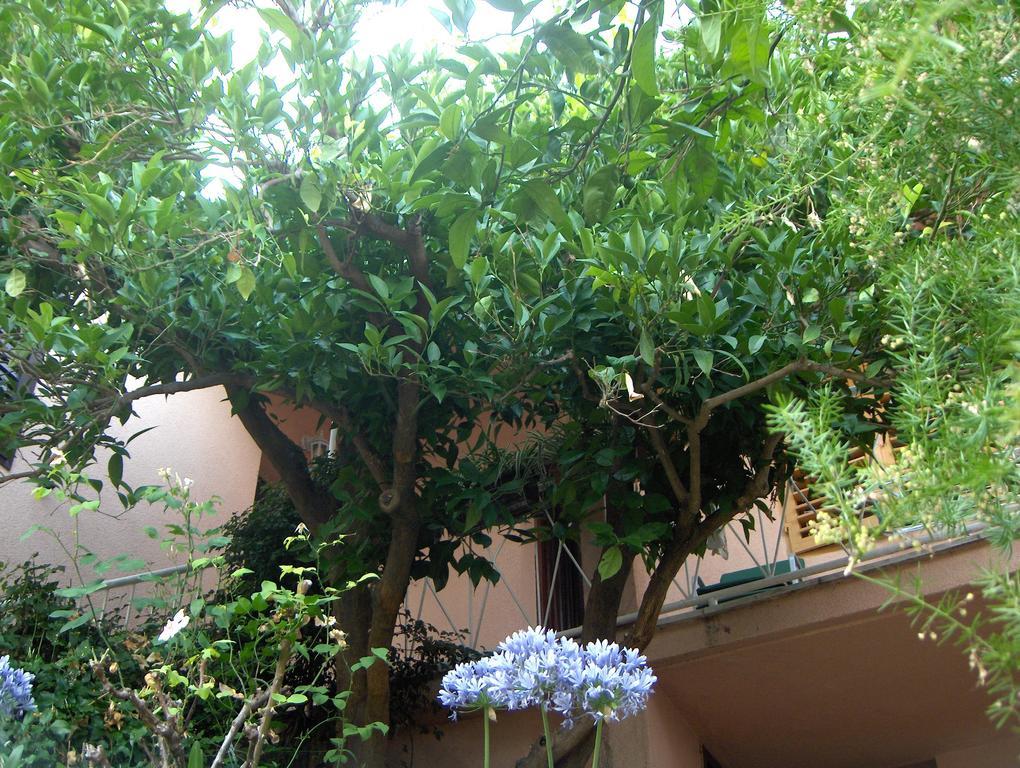 Guest House Roza Vrboska Cameră foto