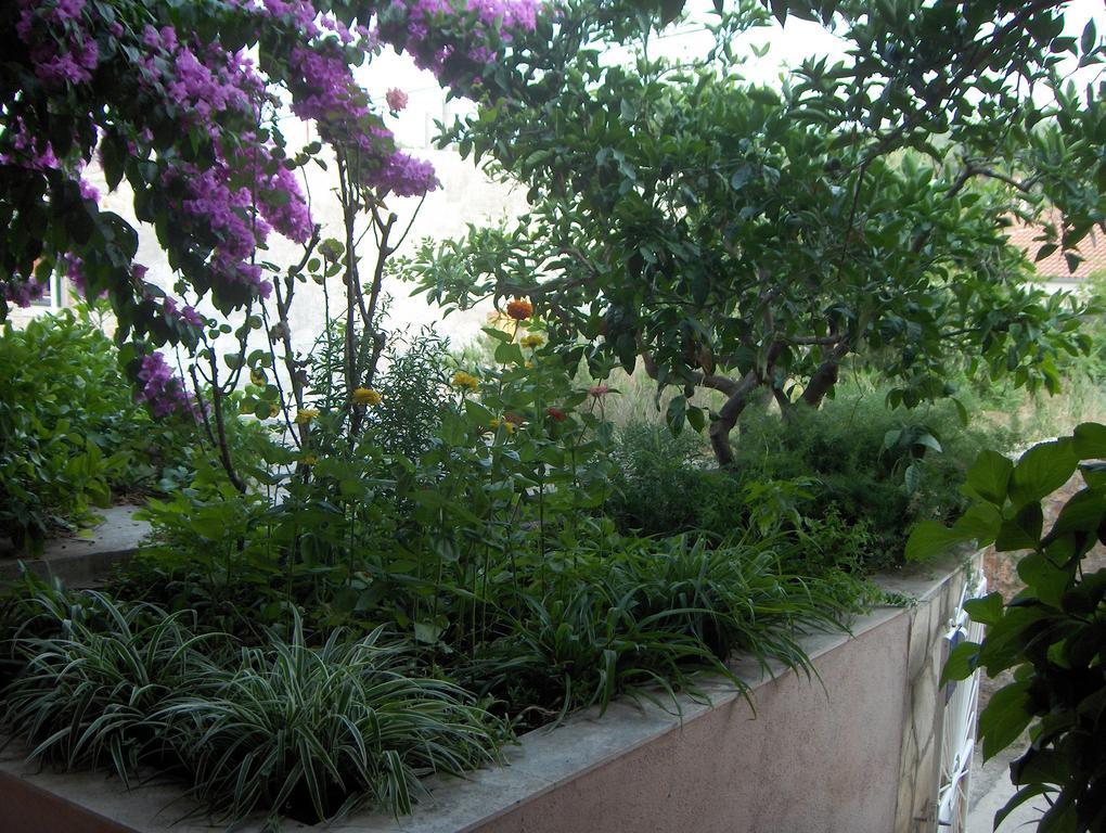 Guest House Roza Vrboska Cameră foto