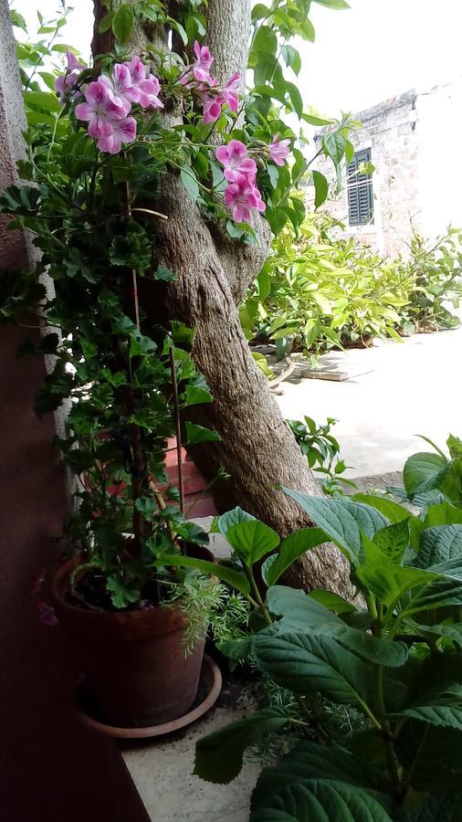 Guest House Roza Vrboska Exterior foto