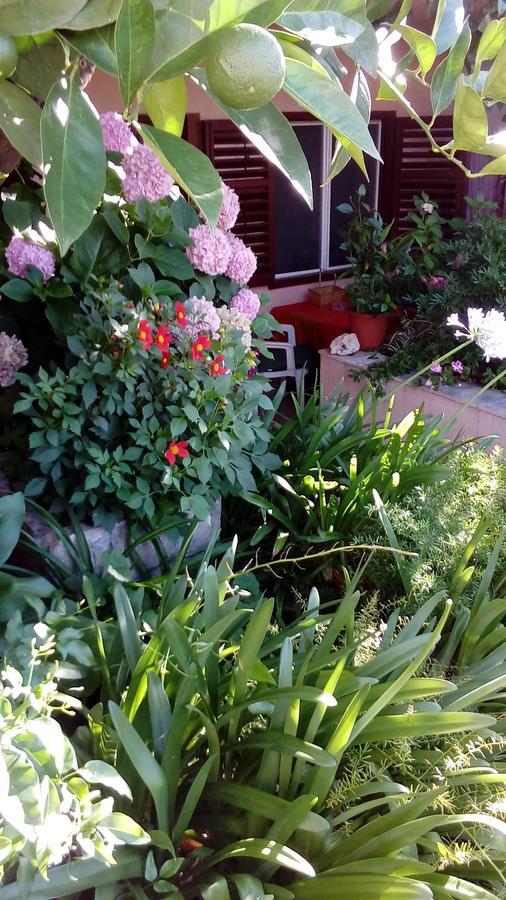 Guest House Roza Vrboska Exterior foto