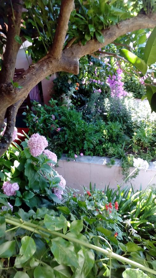 Guest House Roza Vrboska Exterior foto