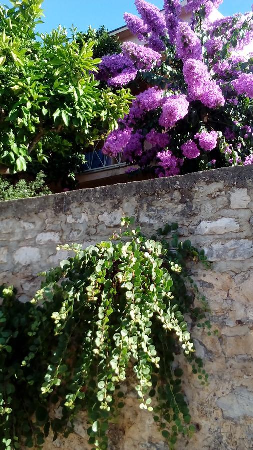 Guest House Roza Vrboska Exterior foto