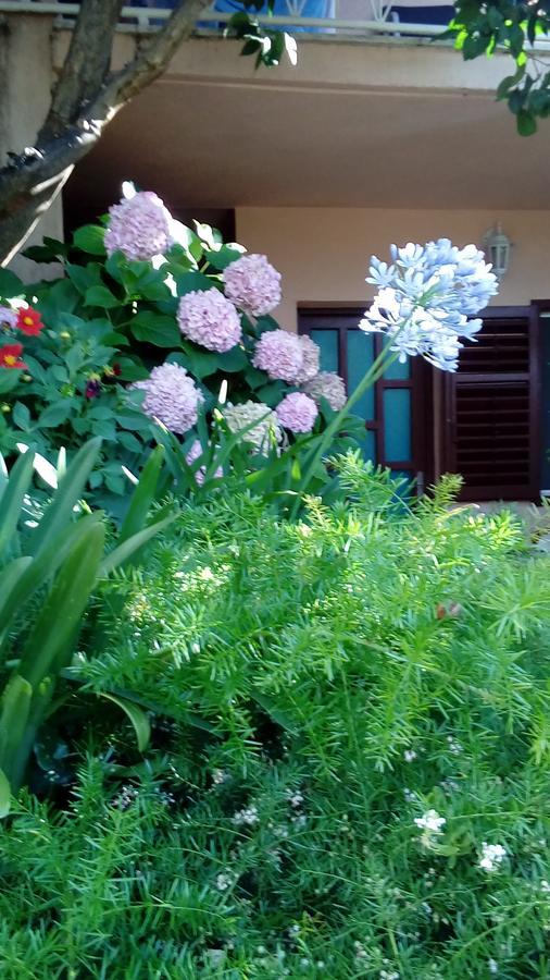 Guest House Roza Vrboska Exterior foto